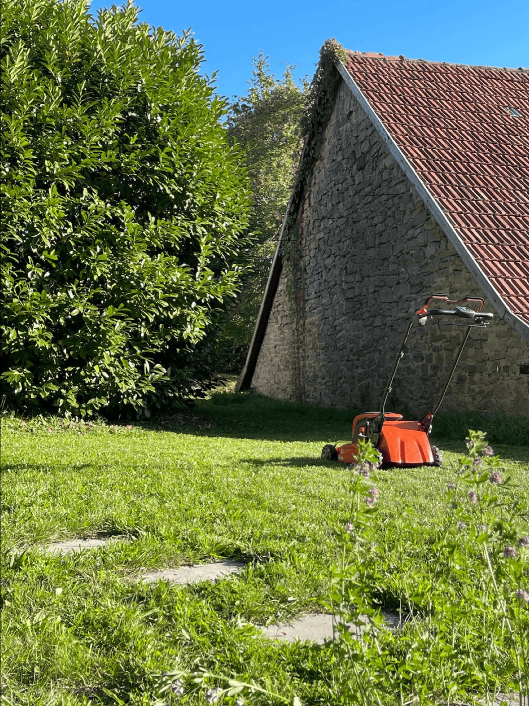 Florian Faupel im Garten